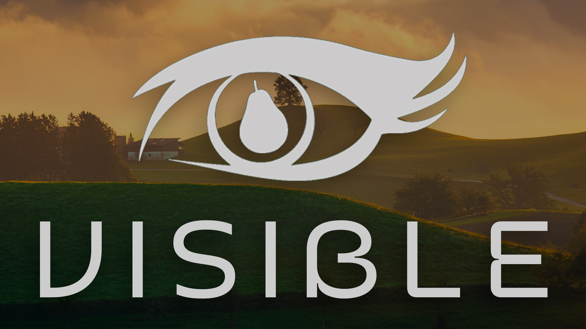 Visible2025 Cheap Fakes Series logo